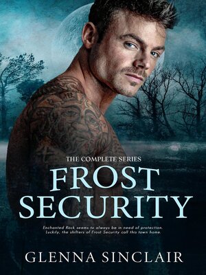 cover image of Frost Security